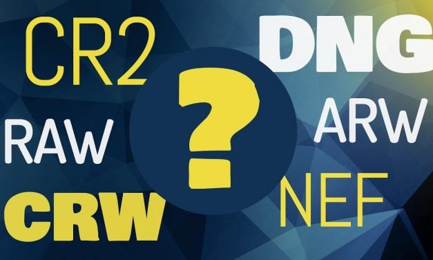 Arquivo RAW, DNG, CRW, CR2, NEF, ARW – Porque  tantos formatos?